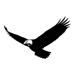 Majestic black bird silhouette flying gracefully in flight against a stark white square silhouette