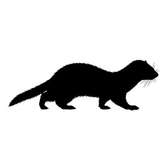 Silhouette of a ferret standing alert facing left in a square frame silhouette