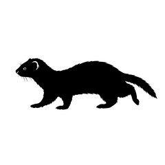Silhouette of a ferret animal in a rectangular frame against an abstract design silhouette