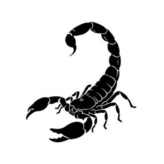 Striking scorpion silhouette for powerful design and symbolism in graphic projects silhouette
