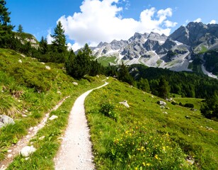 Fototapeta premium Hiking path winding through alpine meadow, mountains in background