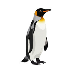 Fototapeta premium Upright penguin with golden neck patch and sharp beak, standing in elegant centered stance isolated on clean white background for detailed wildlife view
