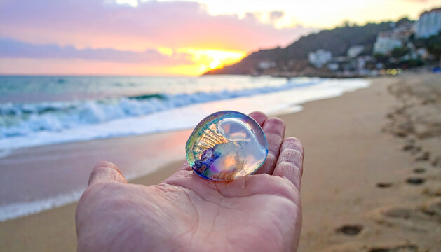Hand Holding Jellyfish Shell on Beach - Sunrise Beach Walk - Powered by Adobe