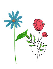 vector illustration of a rose