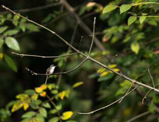 Instante fugaz © Atico Mon