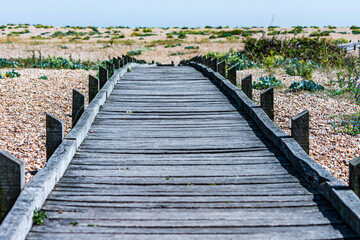 Obraz premium Into the Distance