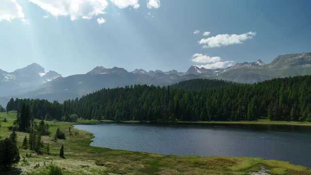 Aerial drone view of Lake Lej da Staz (Mej de Staz) surrounded by pine forest and mountains near St. Moritz in Engadin, Switzerland. Scenic alpine landscape with lakes, forests, and peaks. Perfect for