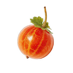 Close-up of a single, round, orange-red gooseberry with a stem and leaf.  The fruit's surface has prominent, radiating ridges