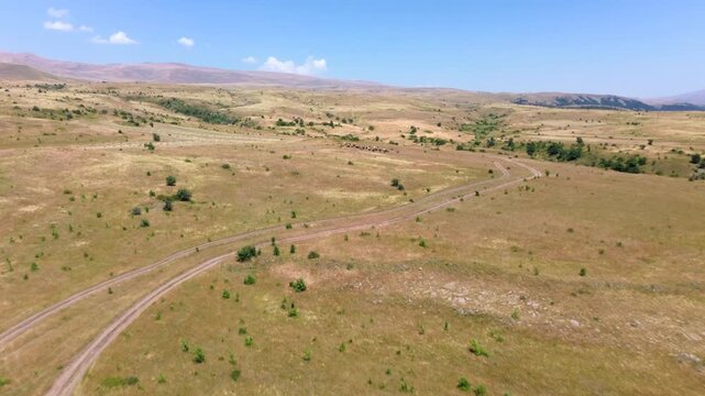 Aerial video of a dry steppe in the Armenian highlands with a gravel road and farm animals.
