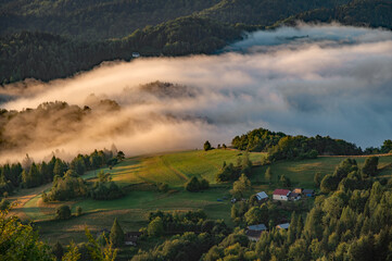 Poranne mgły © piotrwolak