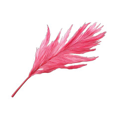 Pink feather, vibrant,  detailed,  stylized