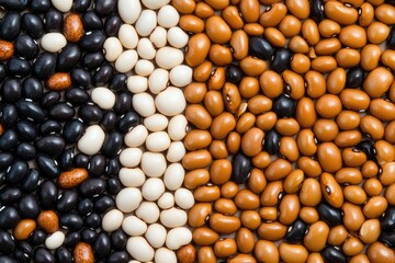 Overhead view of colorful beans forming pattern