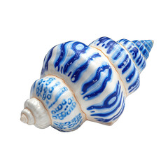 Detailed close-up of a spiral seashell.  Intricate blue patterns adorn a creamy-white shell