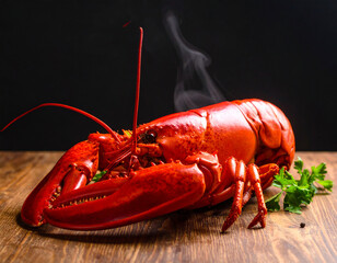 Steaming Red Lobster on Wood with Parsley and Black Background