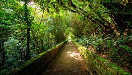 Obraz premium A Daylight Hike Along A Green Corridor Filled With Trees And Natural Vegetation