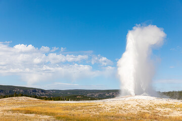Old Faithful Geyser in Yellowstone National Park