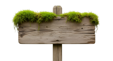 Rustic Wooden Signpost Covered in Lush Green Moss