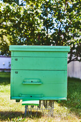 Green wooden beehive standing on metal frame outdoors in sunny garden with leafy tree in background, structure used for housing honey bees and supporting beekeeping activities