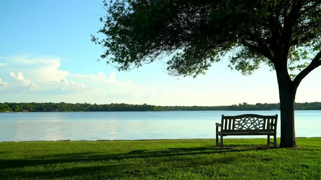 Tranquil lakeside bench under tree