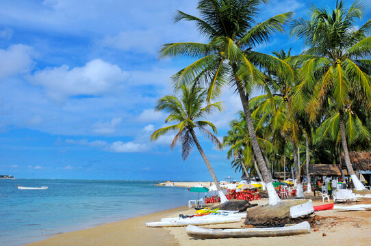 Gunga Beach or Praia do Gunga, a paradisiac beach with its clear waters and coconut trees, North Coast, Maceio, Alagoas, Feb 2022