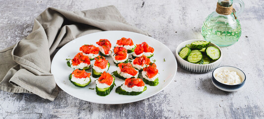 Appetizing snack of cucumber, ricotta and red fish on a plate on the table web banner