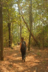 Women Hiking with Trekking Poles on a Forest Trail, Vertical Rear View