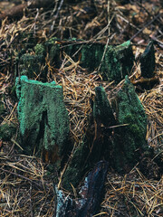 fishing nets and ropes