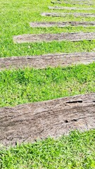 Wooden plank path over the grass