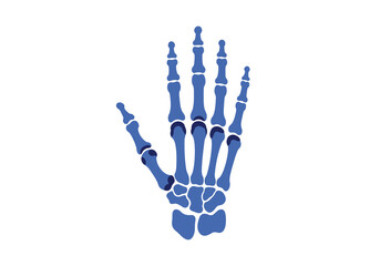 Fototapeta premium Detailed graphic representation of the human hand's skeletal structure, illustrating the intricate arrangement of bones for medical and scientific understanding