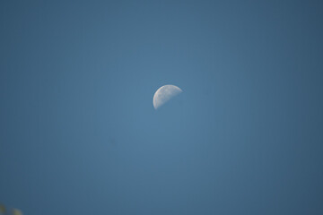 Half-moon in morning light