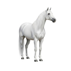 Fototapeta premium Majestic White Horse 3D Render of a Stallion, Isolated on Background