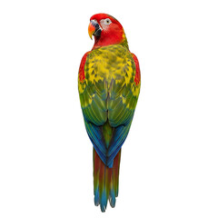 Obraz premium Vibrant Red, Green, and Blue Parrot Isolated on White Background,parrot,bird