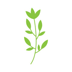 Elegant botanical illustration of a leafy branch in a natural garden setting