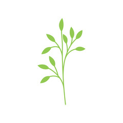 Minimalist silhouette of a green herb plant with a thin stem and delicate leaves