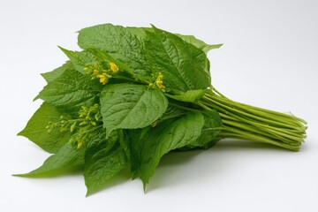 Bunch of fresh green leaves with yellow flowers.