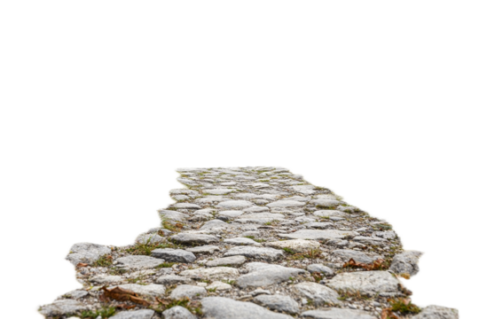 Ancient cobblestone path with grass and leaves isolated on transparent background