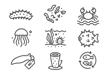 Marine Biology Icons. Line style icons of marine biology: sea cucumber, detritus feeder, ocean bottom scavenger, soft body marine