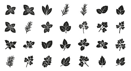 Diverse Leaves and Plants, Nature, Graphic Design, Artistic Environment, Top-Down Viewpoint