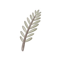 cartoon fir branches. Colorful illustration, flat style. design for cards, print, posters, logo, cover