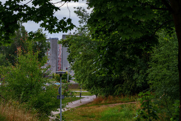 Urban Green Space with Path