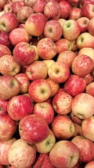 Colorful Apples in Large Quantities
