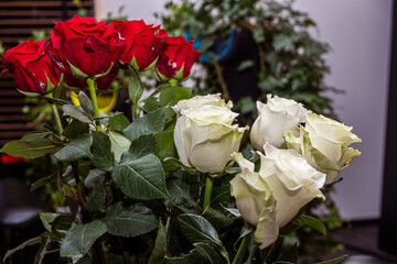 Vibrant bouquet of red and white roses, showcasing lush green leaves, perfect for celebrations, symbolizing beauty, love, and the essence of nature's gift with copy space