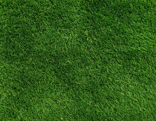 Fototapeta premium Lush Green Grass Texture Background Nature's Vibrant Carpet for a Fresh, Eco-Friendly Visual