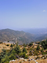 A scene from the Hafat Zeltane Park on the landscape below, sharp slopes, tribal valleys of fog, deep green of old conifers in the distant horizon where the mountains meet with a sky