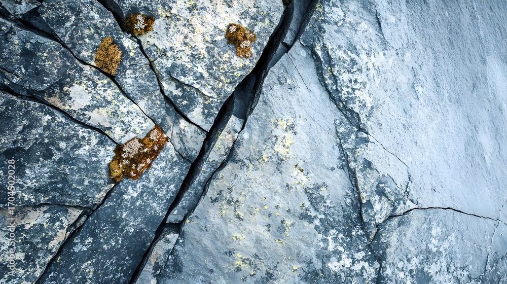Poster a detailed close-up view of a textured rock face, showcasing intricate patterns of cracks and crevic