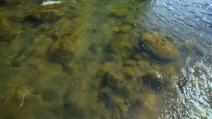 水がきれいな渓流