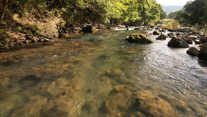 水がきれいな渓流