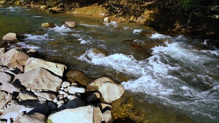水がきれいな渓流