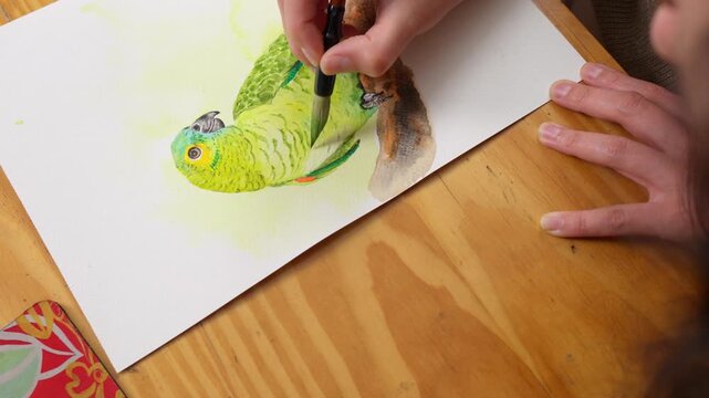 Skilled graphic designer carefully painting vibrant green parrot using watercolors on white paper inside cozy home studio workspace