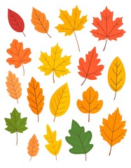 Fototapeta premium Colorful autumn leaves